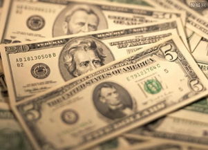 全球貨幣政策趨向保守背景下的外匯儲備小幅下滑 挑戰與策略解析